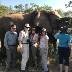The Elephant Camp near Victoria Falls