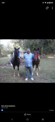 Wayne Hickman