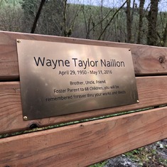 Wayne’s bench in the CZ Trail