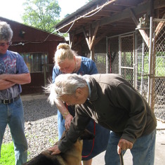 Wesley and Ellen visiting their new German shepherd, Jade