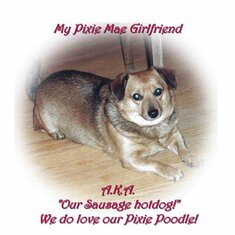 Pixie Mae Mae as you called her..  She wasn't with us long but long enough for you to drive her crazy in her kennel.. 