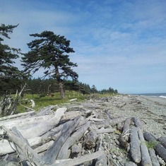 The scenery of Haida Gwaii