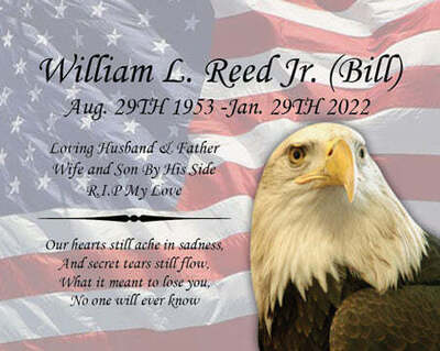 WILLIAM L REED JR  BILL