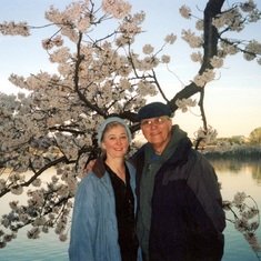 At the Cherry Blossoms!