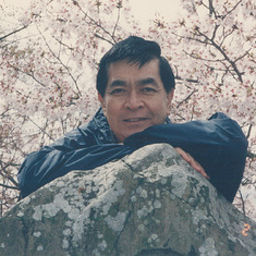 WS on Rock w Cherry Blossom_Japan 1998_Age 59