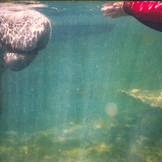 only photo of mom and manatee, but they were so special to her I had to include!
