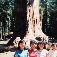Mom and her daughters at Sequoia National Park