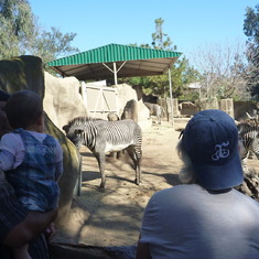 Audrina's fist trip to the San Diego Zoo.