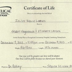 Certificate of Life