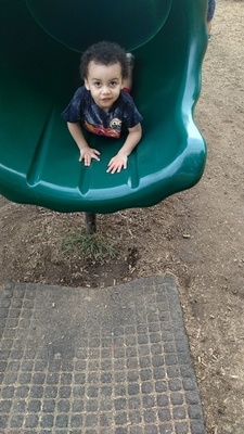 Zeldris Alex Lee Cole